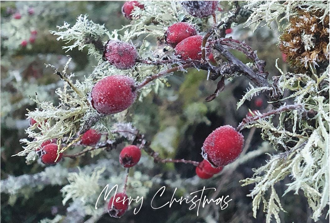 Chruch xmas card
