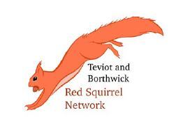 Red Squirrel Network image