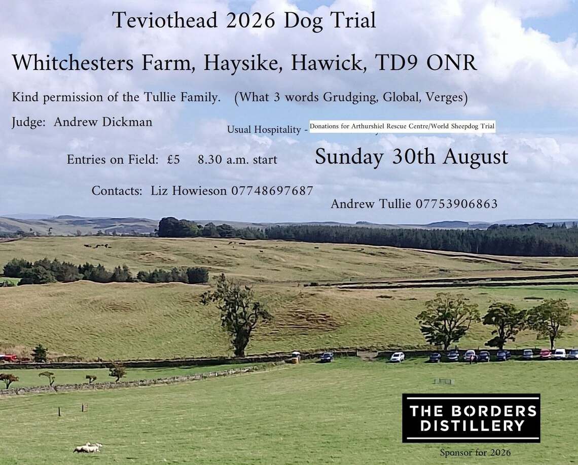 Sheep Dog Trial - Aug26